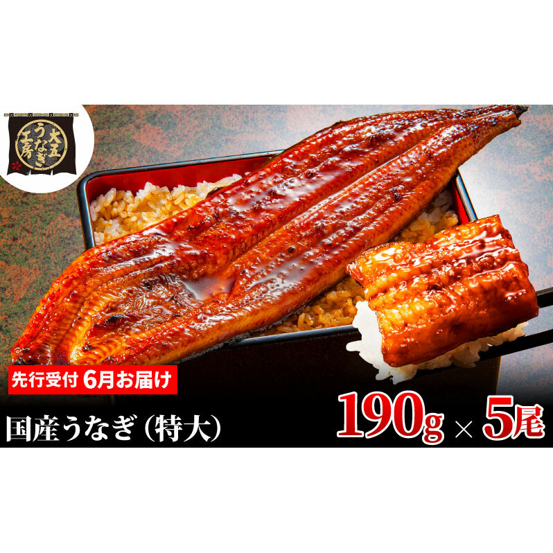 先行受付 【6月上旬配送】 うなぎ蒲焼 190g×5尾(950g) うなぎ 鰻 蒲焼 蒲焼き 大五通商 静岡 島田市