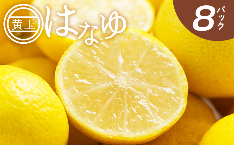 虎弥太郎 はなゆ黄玉 ８パック - 国産 ゆず 柚子 ユズ 花柚子 柑橘 香酸柑橘 果物 花皮果汁 フルーツ 果実 料理 酒 ハイボール 焼酎 アレンジ 焼き魚 小分け おすそ分け 高知県 香南市 冷蔵 hy-0003