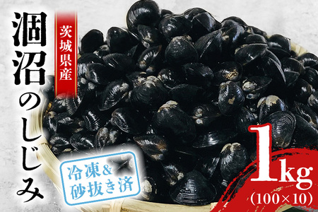 涸沼産 冷凍しじみ 大粒 1kg（100g×10p）【石岡市・水戸市共通返礼品】 しじみ シジミ 蜆 国産 小分け 砂抜き不要 冷凍 冷凍保存 海鮮 貝 魚貝類 魚介類 魚貝 魚介 味噌汁 みそ汁 酒