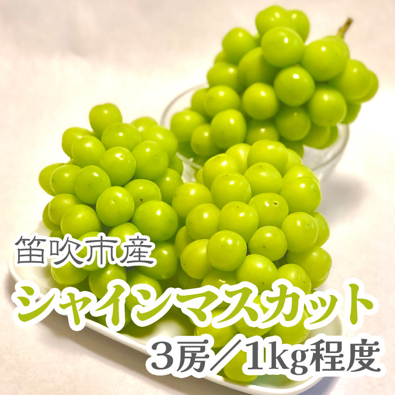 
            【2026年発送★先行予約】こだわりの逸品!　甘さと香り際立つ山梨県産シャインマスカット3房(合計1kg程度) 229-002-oya
          