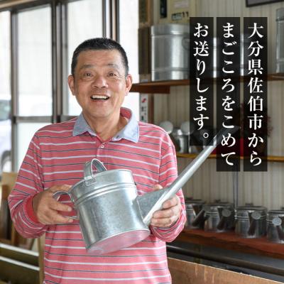 ふるさと納税 佐伯市 板金職人が作るトタンのジョウロ (小・2.5L) |  | 03