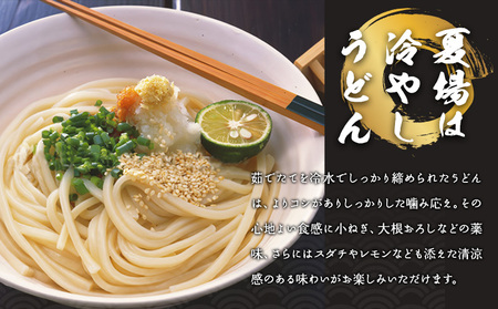 A-58 瀬戸の「天日干しうどん」