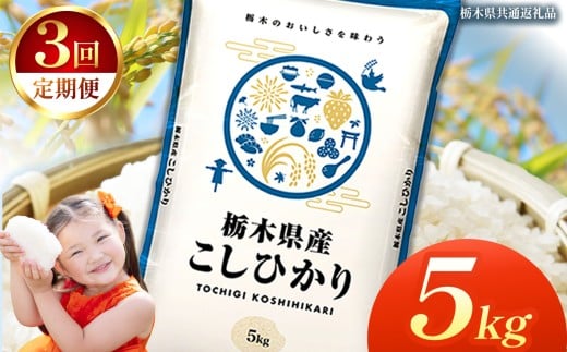 【定期便3回】栃木県産コシヒカリ 5kg | 2025年 2025年米 令和7年米 秋 白米 ごはん ご飯 小分け 人気 おいしい 旨い おにぎり おむすび お弁当 限定 栃木県共通返礼品 栃木県 下野市 送料無料