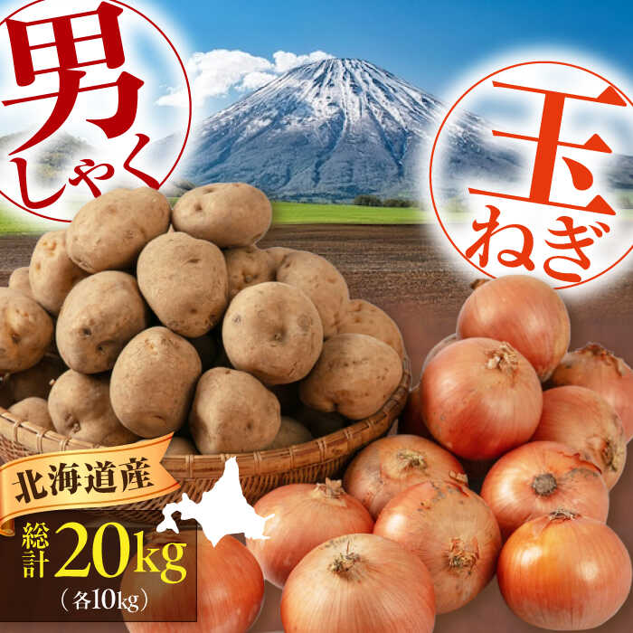 【ふるさと納税】【11月中旬以降順次発送】 男爵芋・玉ねぎセット 計20kg（男爵芋・玉ねぎ各10kg）《喜茂別町》【Aコープようてい】 じゃがいも ジャガイモ 玉ねぎ 男爵芋 季節の野菜 産地直送 [AJAK016] 15000 15000円