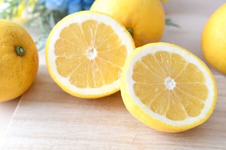 こだわり栽培 訳あり 河内晩柑 約 5kg iFARM 岩城農園 | フルーツ 果物 くだもの 柑橘類 柑橘 晩柑 河内 晩柑 みかん ミカン 訳アリ ご家庭用 家庭用 5キロ 熊本県 玉名市