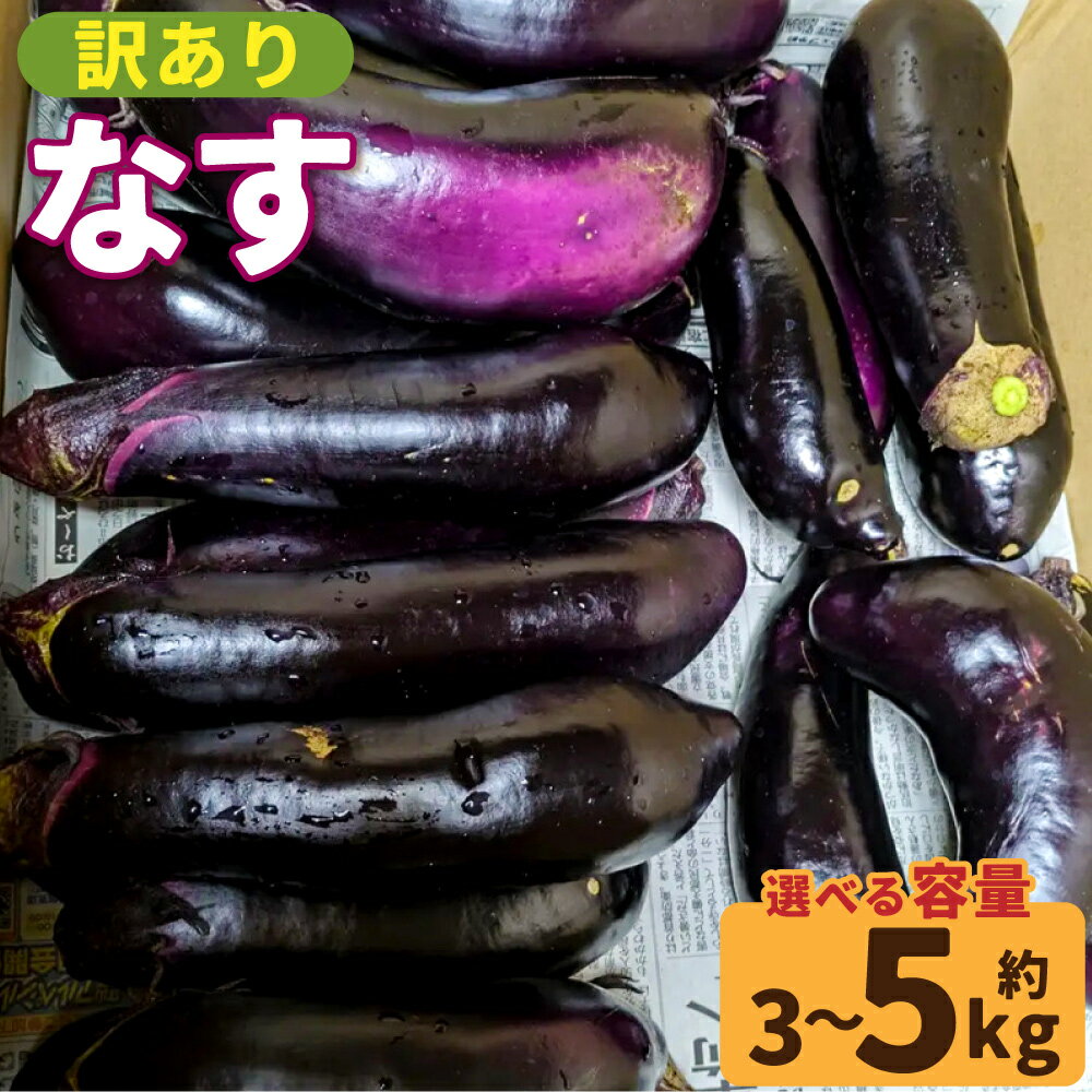 【ふるさと納税】【選べる・容量】【訳アリ】鹿児島県産ナス 3kg 5kg 朝どれ 季節限定 なす ナス 茄子 なすび 朝どれ 朝採れ 夏野菜 夏 なつ 野菜 やさい 訳アリ 訳あり 傷あり 変形 季節限定 夏限定 農家直送 鹿児島県 薩摩川内市 送料無料 ZS-784