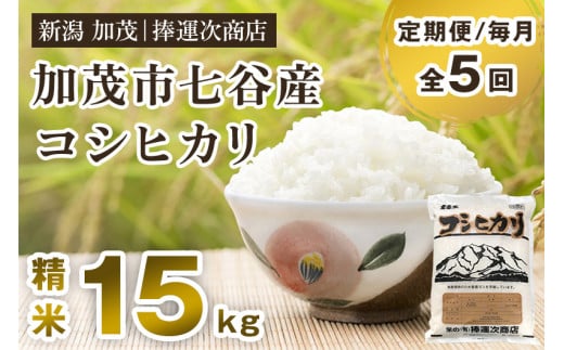 【令和6年産新米】【定期便5ヶ月毎月お届け】新潟県加茂市七谷産コシヒカリ 精米15kg（5kg×3）白米 捧運次商店 定期便