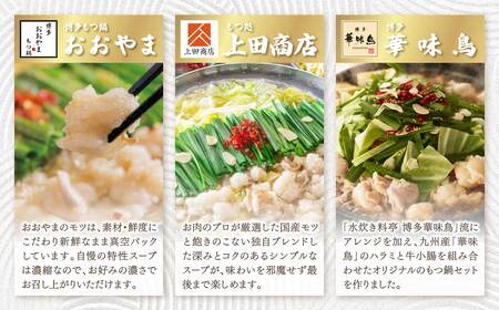 Y08-81 博多名物もつ鍋バラエティセット【隔月定期便（年6回発送）】もつ鍋