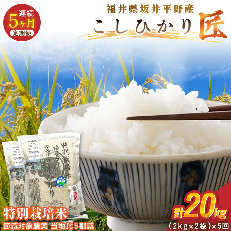 【ふるさと納税】【5ヶ月連続お届け】令和7年産 特別栽培米 コシヒカリ匠 4kg（2kg×2袋）×5回 計20kg 節減対象農薬当地比5割減【選べる精米方法：白米 / 玄米】【米 コメ お米 コシヒカリふるさと納税米 ブランド米 国産】