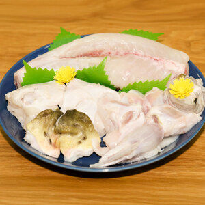 養殖トラフグ身欠き【kt058-001】