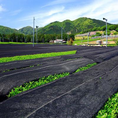 ふるさと納税 四日市市 水沢かぶせ茶お手軽なティーバックのセット　C |  | 02