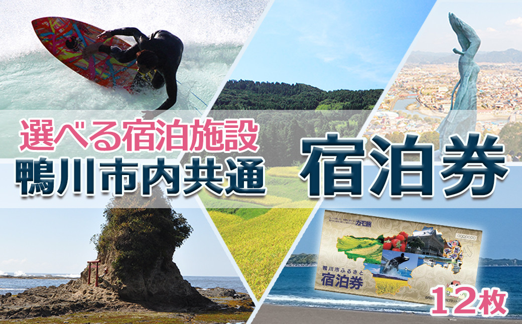 【千葉県鴨川市】市内宿泊施設 共通宿泊券　12枚（12万円相当）　[40-8]