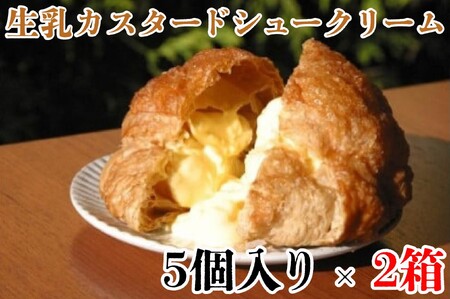 シュークリーム パイ生地 生乳 カスタードクリーム 2箱