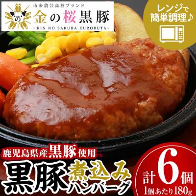 ふるさと納税 いちき串木野市 金の桜黒豚  「黒豚煮込み ハンバーグ (180g×6袋)」