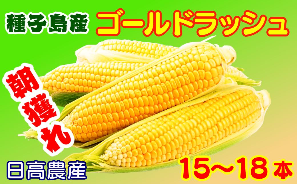 【 6月 限定 】 種子島 産 朝 どれ とうもろこし （15〜18本）　NFN319【375pt】