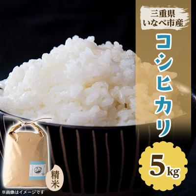 ふるさと納税 いなべ市 令和7年産　コシヒカリ 5kg