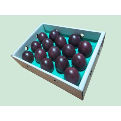 ふるさと納税 瀬戸内町 【先行受付】【2026年5月下旬以降順次発送】パッションフルーツ　化粧箱M玉15個入り×3箱 |  | 03