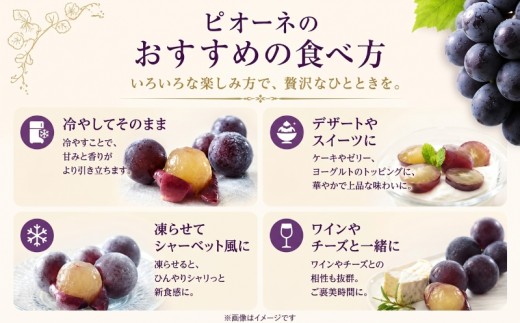 【2027年先行予約】山梨県産 種なし ピオーネ 1房（500g以上） ぶどう budou BUDOU 葡萄 ブドウ フルーツ 果物 くだもの デザート スイーツ 黒葡萄 黒ブドウ 黒ぶどう 濃厚【ア