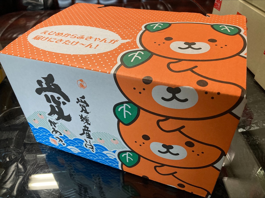 みかん 愛果28号 3kg MLサイズ バラ詰め 紅まどんな同一品種 先行予約 【2026年12月以降順次発送予定】 みきゃん箱 愛媛 数量限定 愛媛県産 人気 柑橘 フルーツ 国産 おすすめ 伊予市