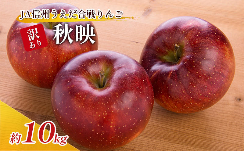 
                  訳あり りんご JA信州うえだ 合戦りんご 秋映 約10kg リンゴ 林檎 果物 くだもの フルーツ 信州 長野 離乳食 訳アリ わけあり 傷 [№5312-0062]
                