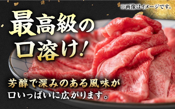 佐賀産和牛 肩ロース しゃぶしゃぶ・すき焼き用 600g 吉野ヶ里町 [FDB060]