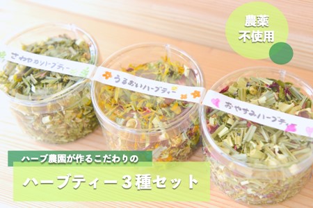 ハーブ農園のナチュラルハーブティーセット 3種 ハーブティー ハーブ農園 農薬不使用 紅茶 オーガニック 飲み比べ アソート 詰め合わせ セット 安眠 睡眠 ギフト 贈答用 あっぷるみんと 熊本 阿蘇 南小国町 送料無料 [B05-0201]