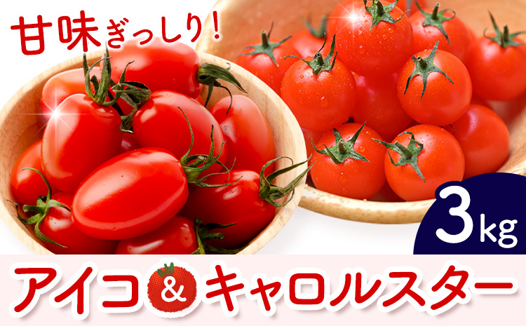 ミニトマト アイコ＆キャロルスター 約3kg ますだふぁーむ《7月上旬-11月末頃出荷》熊本県 南阿蘇村 アイコトマト キャロルスター 野菜 旬 夏野菜 トマト---sms_cmsfmak_af711_26_13500_3kg---