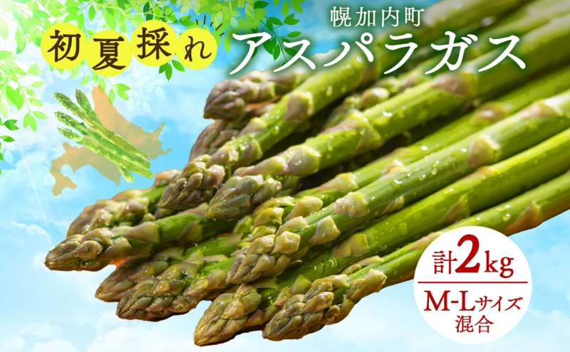 
                  [№5795-0392]北海道 アスパラガス 北海道 アスパラガス 約150g×14束 計2kg 以上 M-L混合 初夏採れ グリーン アスパラガス 野菜 緑 アスパラ 新鮮 旬 初夏 国産 甘い 小分け お取り寄せ 産地直送 蔵前農園 送料無料
                