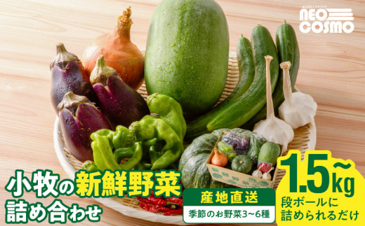 ネオコスモ農園で採れた小牧の野菜詰め合わせ［124N01］