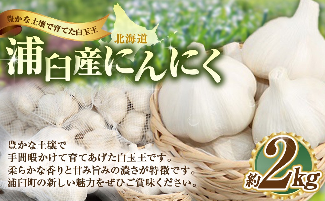 
            浦臼産 にんにく 約2kg 【2025年9月上旬～2025年12月中旬発送予定】 ニンニク 薬味 ガーリック 野菜 北海道 浦臼町
          