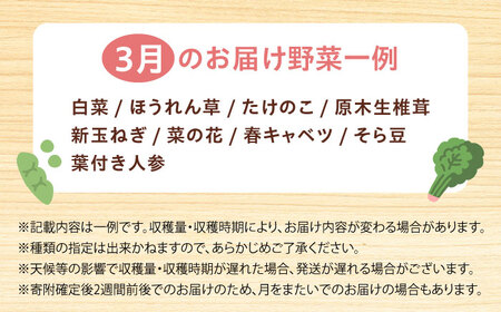 高槻野菜おまかせ詰め合わせセット 3月（10種〜15種）[AOCS009] 野菜セット