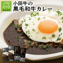 【ふるさと納税】小田牛の黒毛和牛カレー