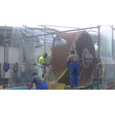 ふるさと納税 亘理町 宮城県荒浜産 あらはま海苔 朝海苔セット　3種 |  | 02