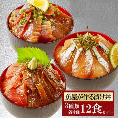 ふるさと納税 宇部市 【詰め合わせ】漬け丼 3種×4パック 計12食セット
