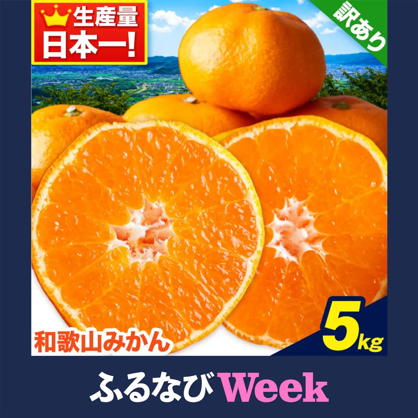 【ふるなびWEEK対象】みかん ご家庭用みかん 約5kg