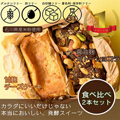 【ふるさと納税】人気NO1発酵ガトーショコラと発酵チーズケーキのセット計500g【配送不可地域：離島】【1585616】