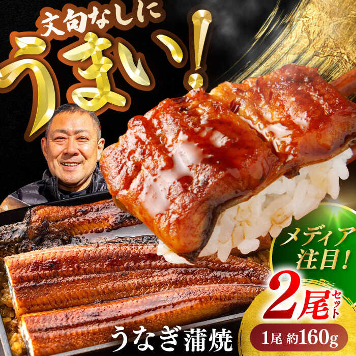 【ふるさと納税】高知県産 うなぎ 長蒲焼 2尾 約160g×2 (2〜4人前) / レンチン 蒲焼き 蒲焼 かば焼き たれ タレ うなぎ ウナギ 鰻 小分け 個包装 パック 冷凍 冷凍食品 国産 レンジ レンジでチン おかず 簡単調理 調理済 時短 温めるだけ 【土佐黒潮水産】[ATCQ009]