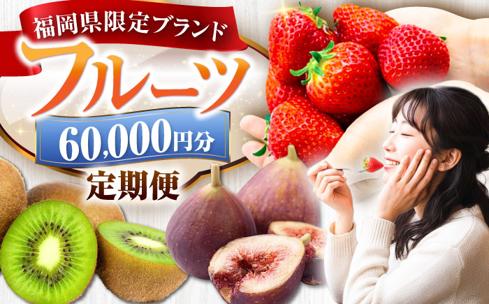 フルーツ定期便 6万円コース(あまおう2種＆いちじく＆キウイ) 《豊前市》【豊前市定期便】 [VZZ017]