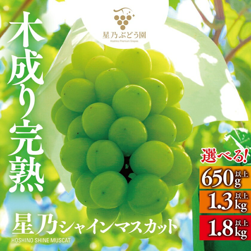 【ふるさと納税】星乃 シャインマスカット 650g 1.3kg 1.8kg _ 岡山県産 ぶどう フルーツ 数量限定 【配送不可地域：離島・北海道・沖縄県】【G1418932】
