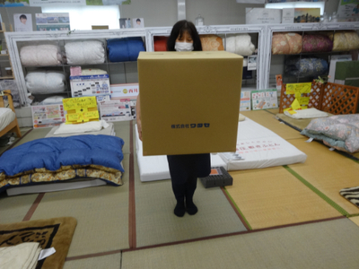 中級もめん綿入り布団　２枚　掛敷セット（お客様用に最適）向かい鶴柄【CW107W1】