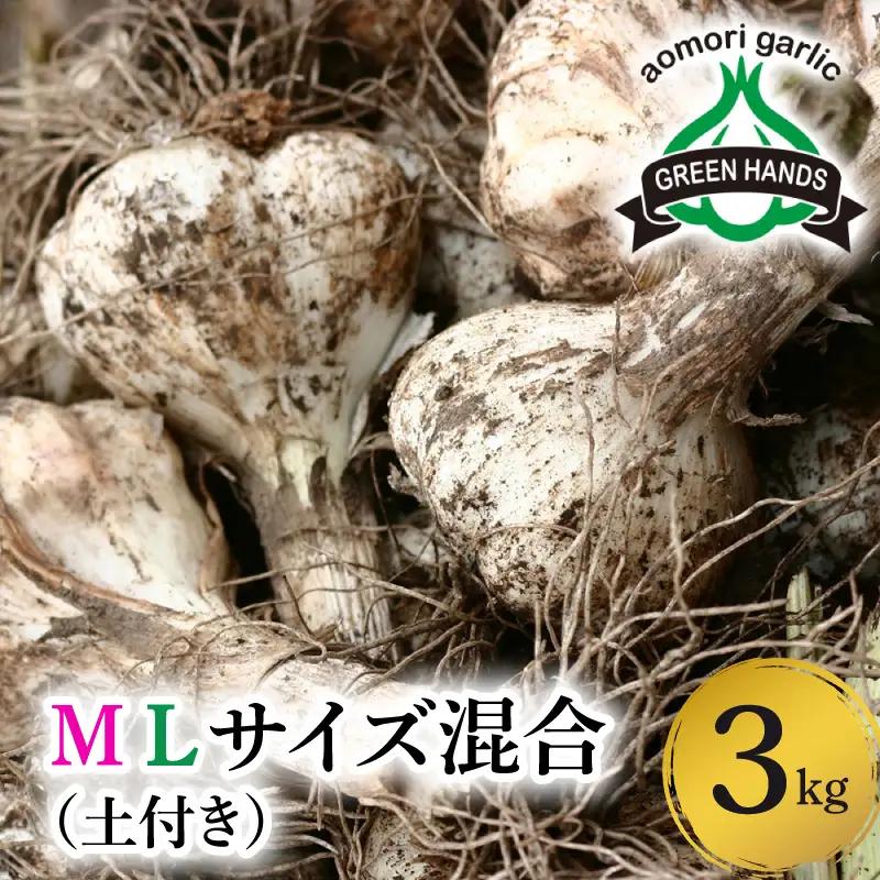 にんにく　生にんにく3kgＭＬサイズ混合土つき2026年6月下旬～発送