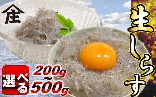 
            【容量選べる】 生しらす 200g ～ 500g 冷凍 刺身 真空パック ごはん 丼 サラダ 魚 料理 愛知県 南知多町 師崎 美味しいシラス しらす 小魚 魚貝 魚貝類 しらす シラス 海鮮 しらす丼 シラス丼 ふるさと納税しらすしらす おすすめ 大人気 南知多産しらす 愛知県産しらす シラス 夕食 お米 に合う コメ に合う お米 シラス シラス丼 人気シラス 国産しらす 海鮮 魚介 魚介類
          