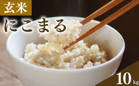  玄米 10kg にこまる お米 栽培期間中農薬不使用 玄米 玄米