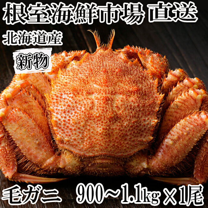 【ふるさと納税】根室海鮮市場＜直送＞ボイル毛がに900g～1.1kg×1尾 F-28029