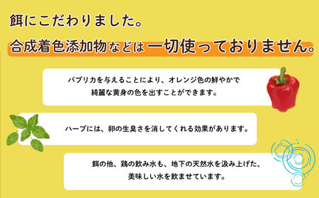 【3回定期便】 卵 計90個 卵