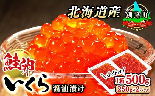 【3月配送】いくら醤油漬け 500g（250g ×2パック） 【発送時期が選べる】 北海道産 国産 いくら いくら醤油漬 しょう油 しょうゆ HACCP イクラ ikura 小分け 天然 鮭 鮭卵 鮭いくら 魚卵 魚介類 冷凍 配送 選べる 指定 配送月指定 配送月が選べる 笹谷商店 直営 釧之助本店 北海道 釧路町 釧路超 特産品  