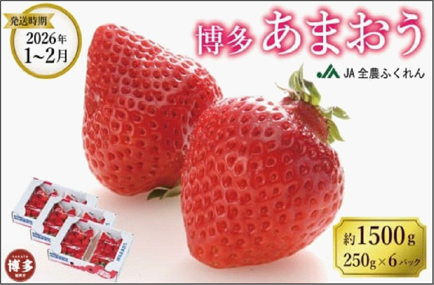 ＜2027年1月～2月発送＞博多あまおう 約250g×6