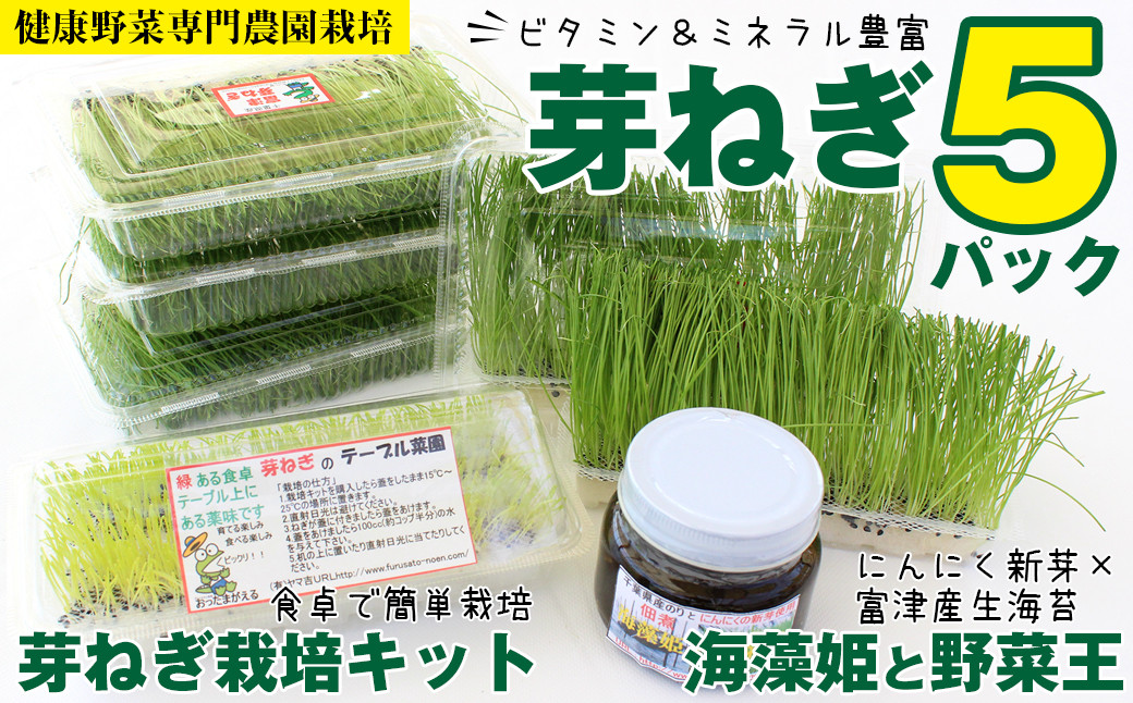 
【農薬未使用・無添加】芽ねぎセット（5パック＆栽培キット＆にんにく新芽と海苔の佃煮）
