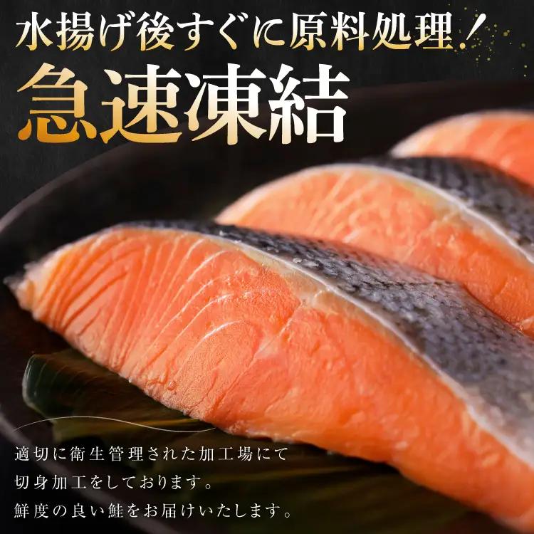 訳あり 鮭 切身 骨取り 無塩 1.5kg  サーモン サケ しゃけ 魚 銀鮭