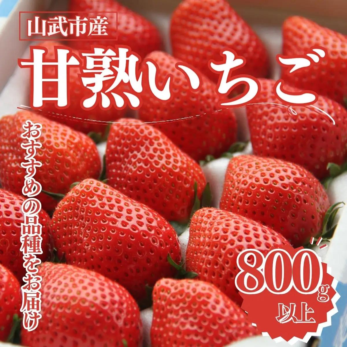 【先行予約】【2月から発送】山武市産 甘熟いちご 800g以上 おすすめの品種をお届け ／ふるさと納税 いちご イチゴ 苺 果物 くだもの フルーツ 旬のくだもの 季節のフルーツ 千葉県 山武市 SMB001